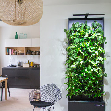 Home of Fresh Air and Greenery, Naava