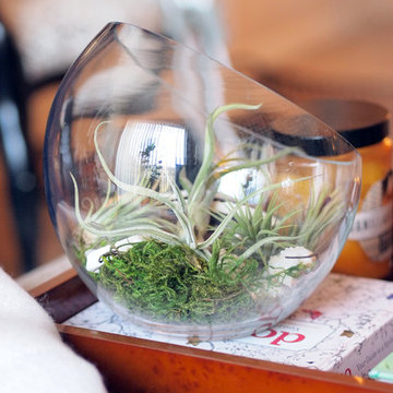 Apartment Life: 7 Tips for Creating a Curated Look
