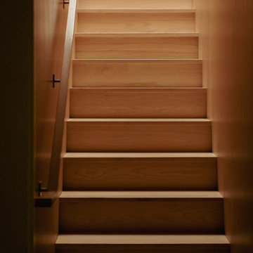 Begun/Weissman Remodel