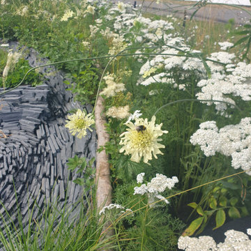 Hampton Court Garden Festival