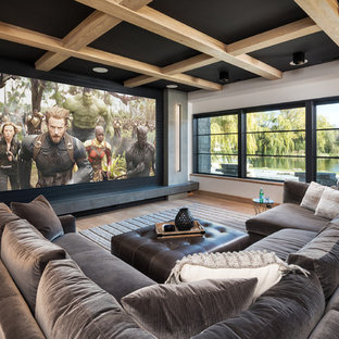 75 Beautiful Home Theater Pictures & Ideas | Houzz