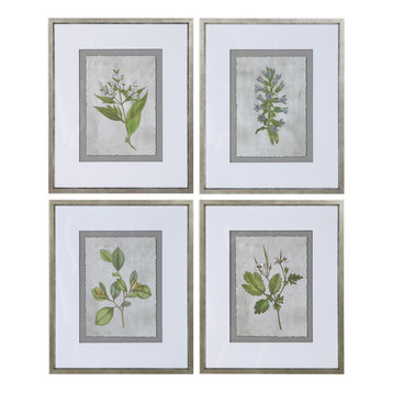 Set 4 Traditional Botanical Floral Prints | Green Leaves Silver Frame Gray White