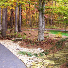 Front yard