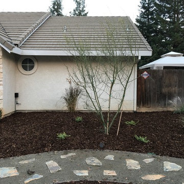 Water wise landscape