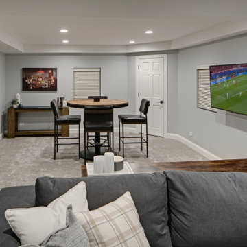 Ultimate Basement Remodel