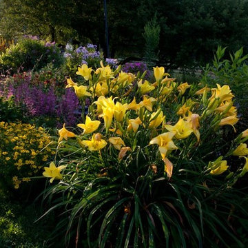 Perennials, annuals mix.
