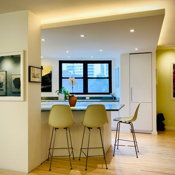 Modern Apartment Renovation - Manhattan