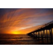 Sara Goldberg's photo