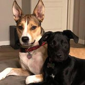 Jon Miller's photo