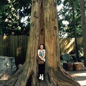 Irene Ting's photo
