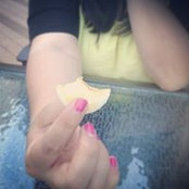 Sandra Chu's photo