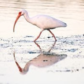 Mike Bresnahan's photo