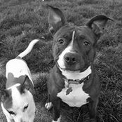 Brandy Jowers's photo