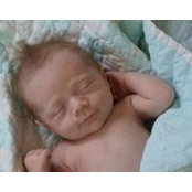Foto von Kaitlyn Oswald