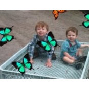Jami Finnerty's photo