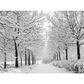 Kimberly Comeaux's photo