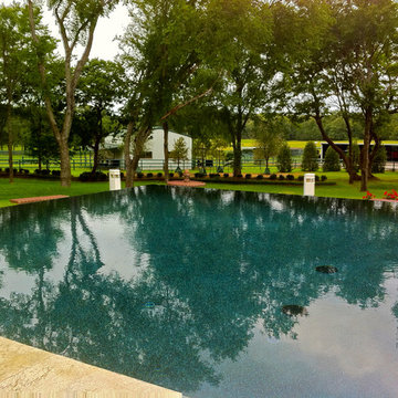 Modern Swimming Pool with Negative Edge