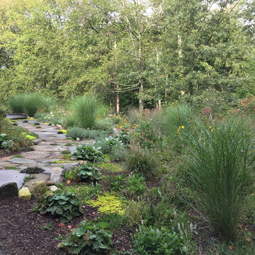 Rethinking the Front Lawn - Try a Native Perennial Garden Instead!