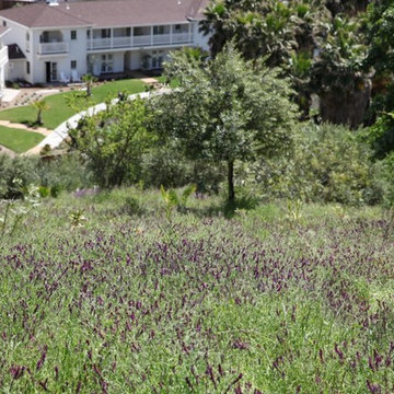 Indian Springs Resort