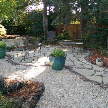 Large Xeriscape - Chico, CA