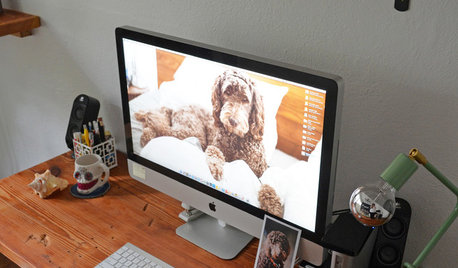 Home Tech on Houzz: Tips From the Experts