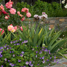 Landscape Ideas