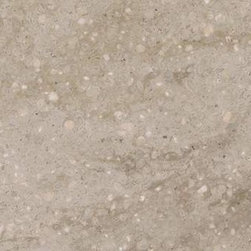 Corian&reg; Sagebrush has a warm sage gray base with bronze veins. - Products