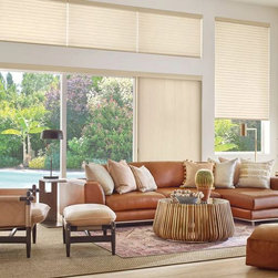 Living Room Ideas - Window Treatments