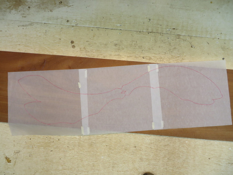 Creating A DragonFly: Wing Transfer