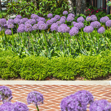 KALORAMA TRADITIONAL
