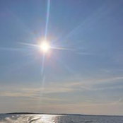 Mat May's photo