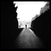 Tim Gold's photo