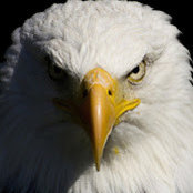 Alexander Rehe's photo
