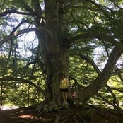 Dawn Mankowski's photo