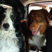 Maryanne Wiley's photo