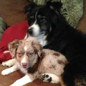 Carol Baney's photo