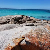Sara Amos's photo