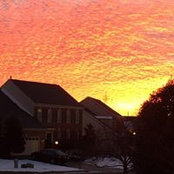Dawn Winters's photo