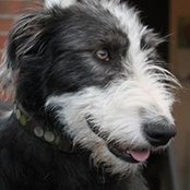 Eddie Hayes's photo