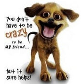 Connie Oliver's photo
