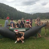 Sharon Groves's photo