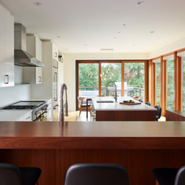 Expanded Kitchen