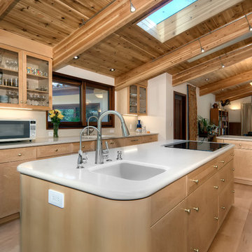 Contemporary Kitchen