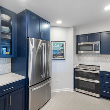 Transitional Kitchen Project in Old Town, Alexandria VA