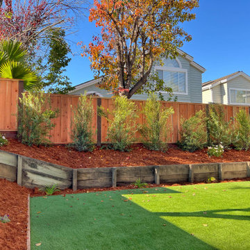 Backyard Transformation (Turf, Pavers, Shrubs, Fence)