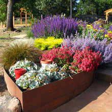dans landscape project