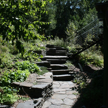 Lapla Landscape