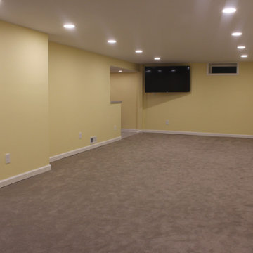 Basement Transformation