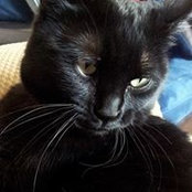 Eunice Kasse's photo