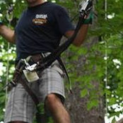 Chris Flowers's photo